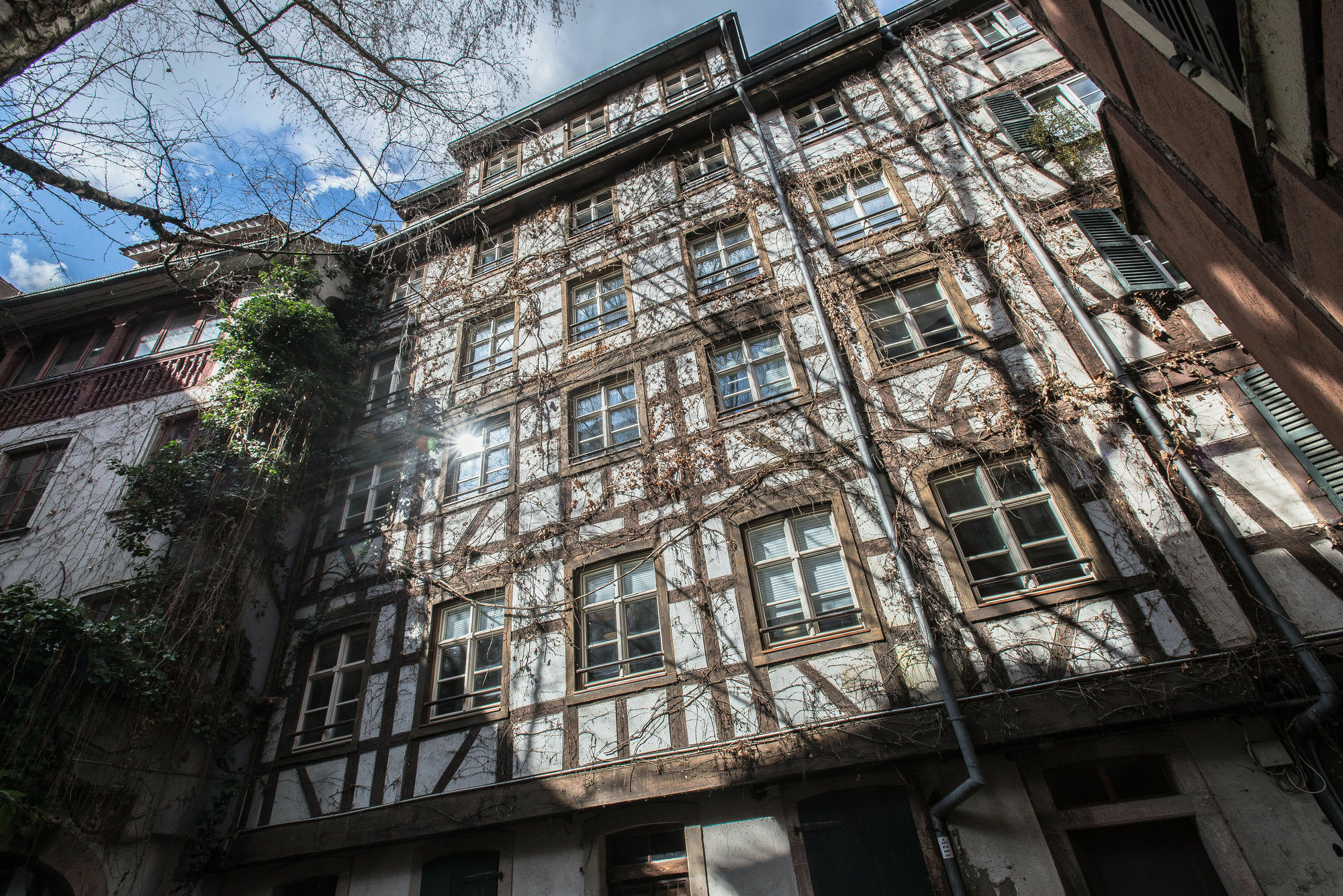 שטרסבורג Appartement Des Moulins מראה חיצוני תמונה